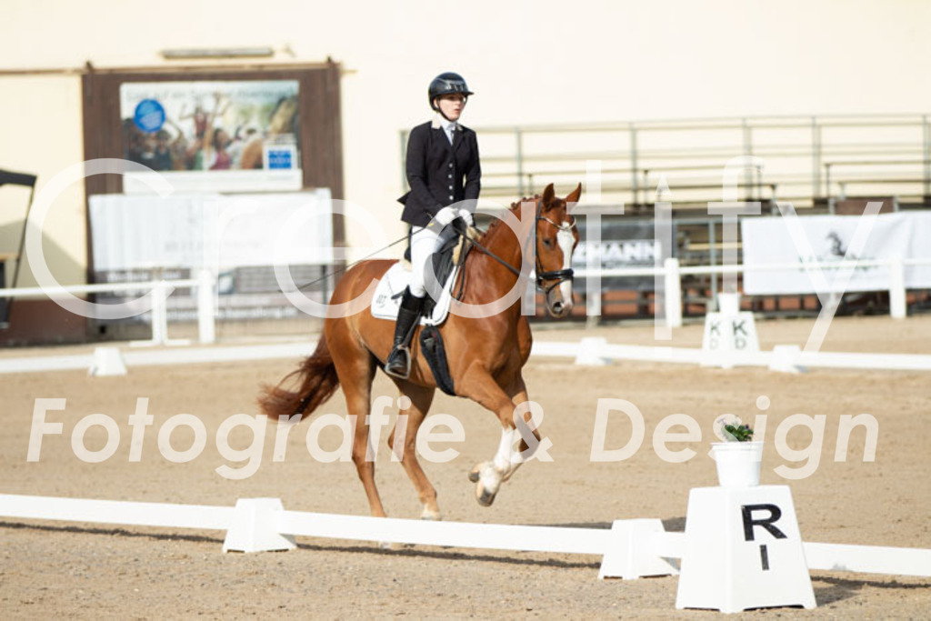 IMG_0667 | Creatify Fotografie