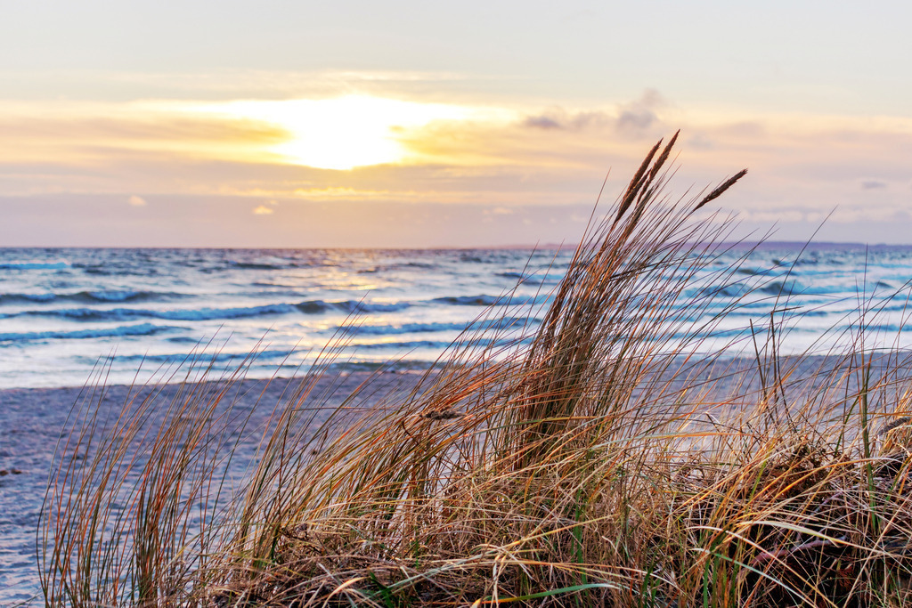 Leinwand: Strandhafer im Morgenlicht | Sanfte Farben und eine beruhigende Küstenlandschaft sorgen für eine entspannte Atmosphäre. Dieses Wandbild zeigt einen idyllischen Sandstrand im Morgenlicht, mit sanften Rottönen am Himmel und einer friedlich aufsteigenden Sonne. Der Strandhafer im Vordergrund bringt natürliche Dynamik in die Szene, während die weitläufige Küstenlandschaft für eine offene, beruhigende Raumwirkung sorgt. Die zarten Lichtstimmungen und die ruhige Bewegung der Wellen laden zum Innehalten ein – ein Moment, der die Seele berührt. Ein Bild, das mehr ist als Dekoration – es erzählt von Ruhe, Weite und dem Zauber des Augenblicks. Holen Sie sich dieses Gefühl in Ihre Räume. - Realisiert mit Pictrs.com