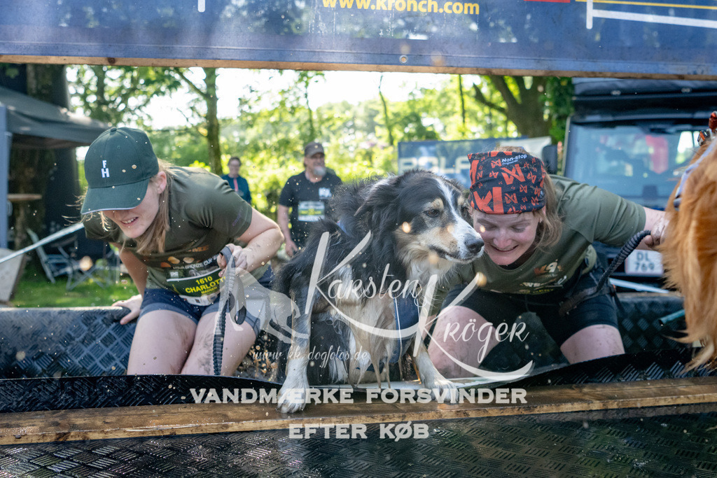 1539_ZZ92570 | kk-dogfotos