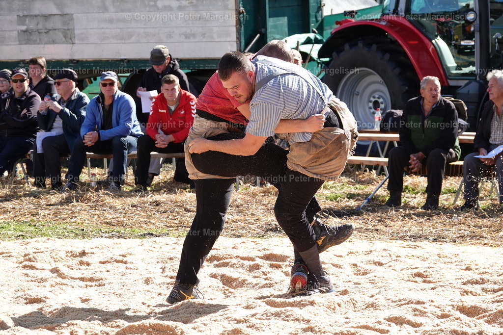 DSC00031 | Schwingen - Realisiert mit Pictrs.com