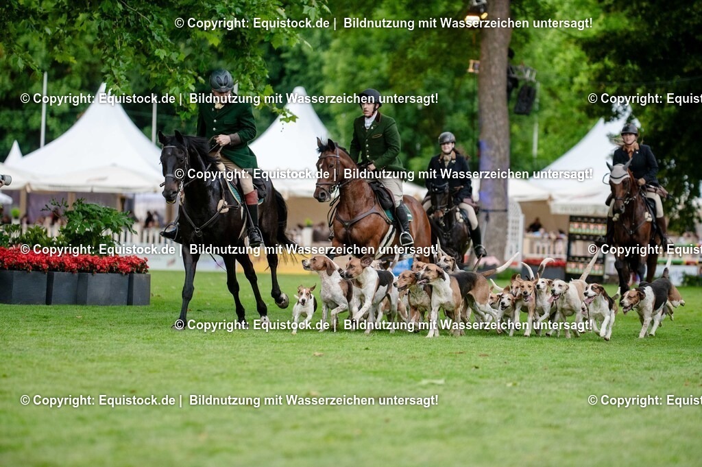 20250606_Lange-Pferdenacht_0499 | Foto: Thomas Hartig