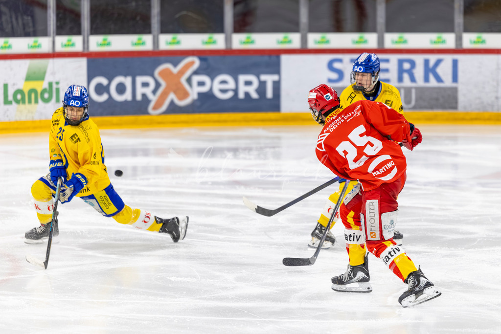 EHCB vs HCD 20262703-429586944 | Sportbilder, Sportfotograf, Hochzeits- und Eventfotografin, Flugshows, Portraits und Tiershooting, Aviation, Downhill, Nationalleague, Swissleague, International
