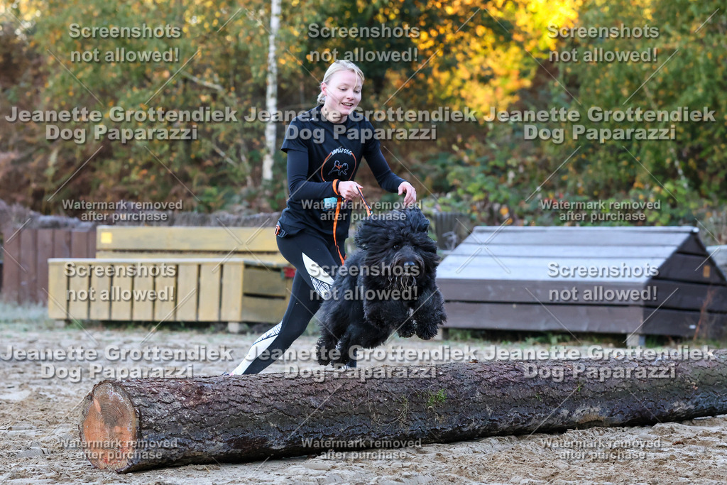 Dog Paparazzi - Strongdog 10-25-250 | Dog Paparazzi Jeanette Grottendiek Fotografie & Videografie - Realisiert mit Pictrs.com