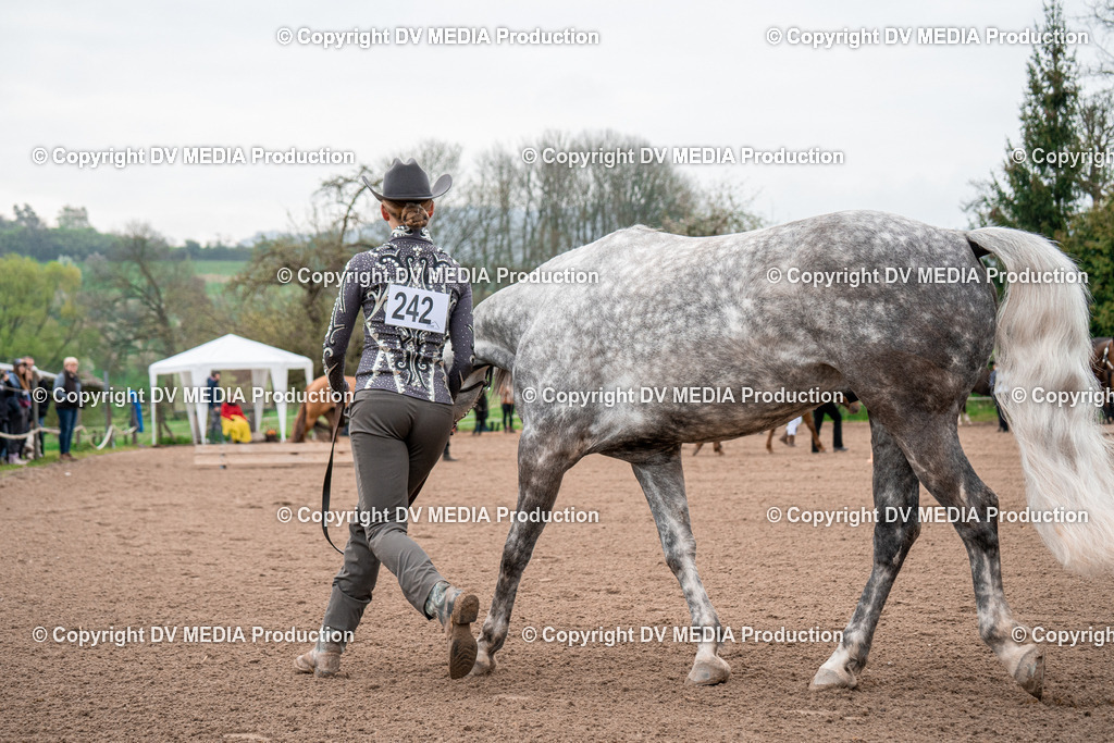 BA300057 | dv-media-shop - Realisiert mit Pictrs.com