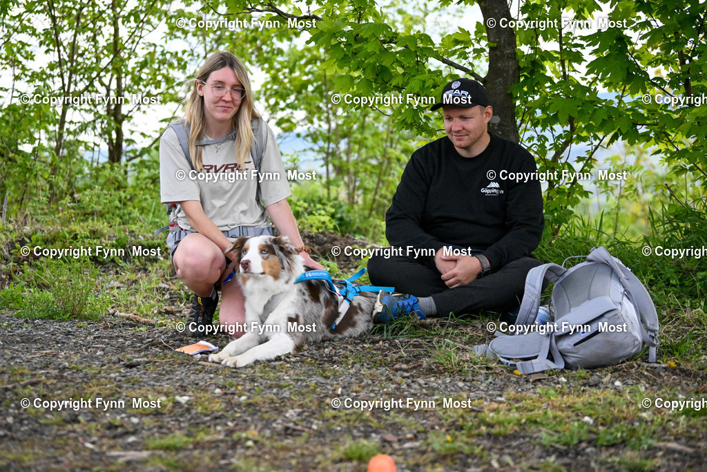 DSC_4739 | Hallo und herzlich Willkommen auf meiner Shop-Seite Fynn Most.

Ich wünsche Dir viel Spaß beim stöbern durch die Bilder, wenn Du Fragen hast oder Bilder vermisst, kannst du mir gerne eine Nachricht schreiben. - Realized with Pictrs.com