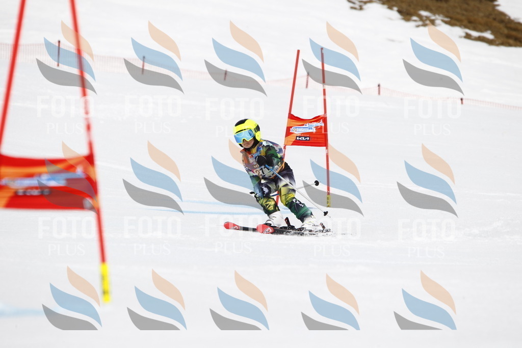 _U3G6777 | holidayphoto