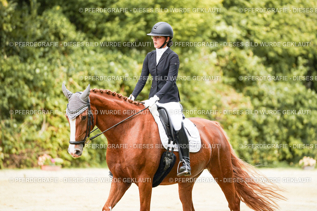 DSC01925 | Pferdegrafie