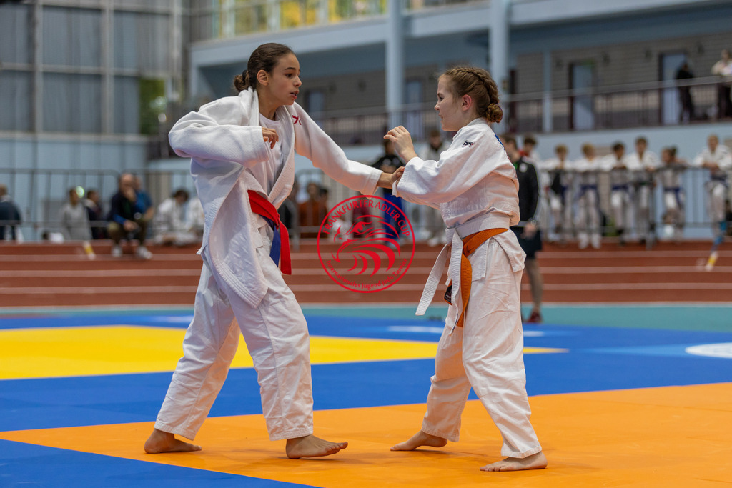 Internationaler Adler Cup 2024 | Foto vom Internationalen Adler Cup Judo Turnier im Sport- und Freizeitzentrum Kalbach im Oktober 2024 - Realisiert mit Pictrs.com