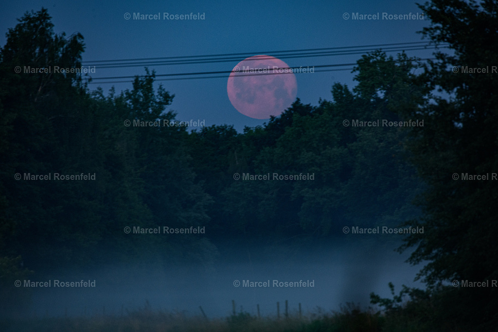 _DSC2702 | foto-rosenfeld