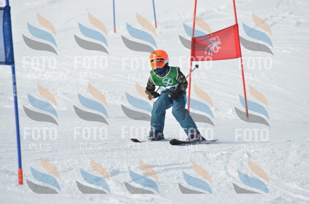 D8620 | holidayphoto