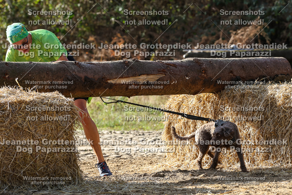 Dog Paparazzi - Strongdog 10-25-5957 | Dog Paparazzi Jeanette Grottendiek Fotografie & Videografie - Realisiert mit Pictrs.com