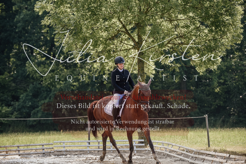 DSC_9296 | Pferde- und Turnierfotografie in Westsachsen. Pferdeportraits, Auftragszeichnungen und intuitive Kunst.