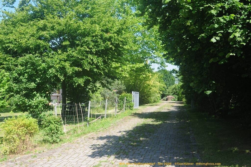 Geißmannsdorf-2026-Ortsbilder-114 | Geißmannsdorf bei Bischofswerda im Sommer 2026. Ein fotografischer Streifzug durch das Dorf Geißmannsdorf, mit Gebäuden, Straßen, Strohpuppen und geschmückten Vorgärten und Grundstücken anlässlich der 800-Jahr-Feier von Geißmannsdorf im Juni 2026 - Realisiert mit Pictrs.com