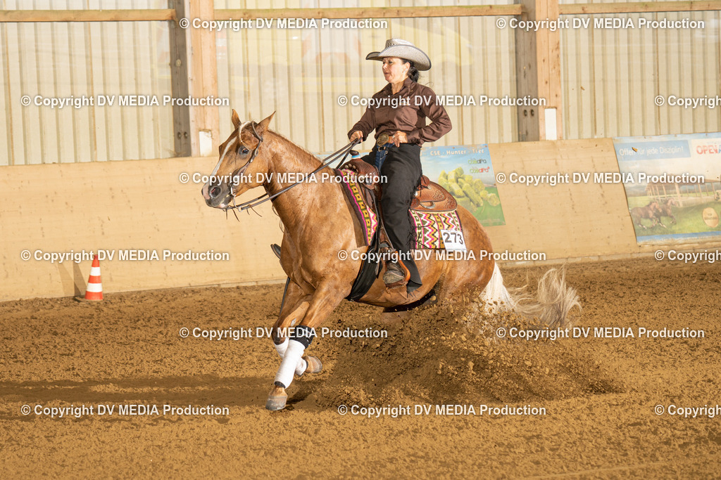 LAU00343 | dv-media-shop - Realisiert mit Pictrs.com