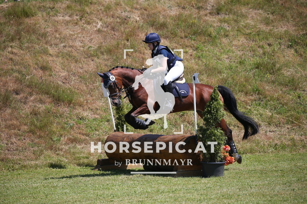 DL2Q0347 | Willkommen bei Brunnmayr - Design & Fotografie – Ihrem Spezialisten für Reitturniere und Pferdeveranstaltungen in Oberösterreich, Salzburg und Bayern! Seit über 17 Jahren sind wir leidenschaftlich dabei.