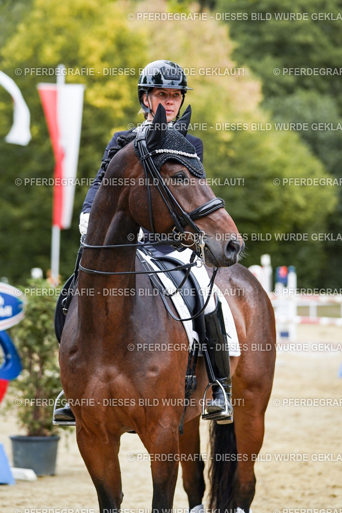 DSC02539 | Pferdegrafie