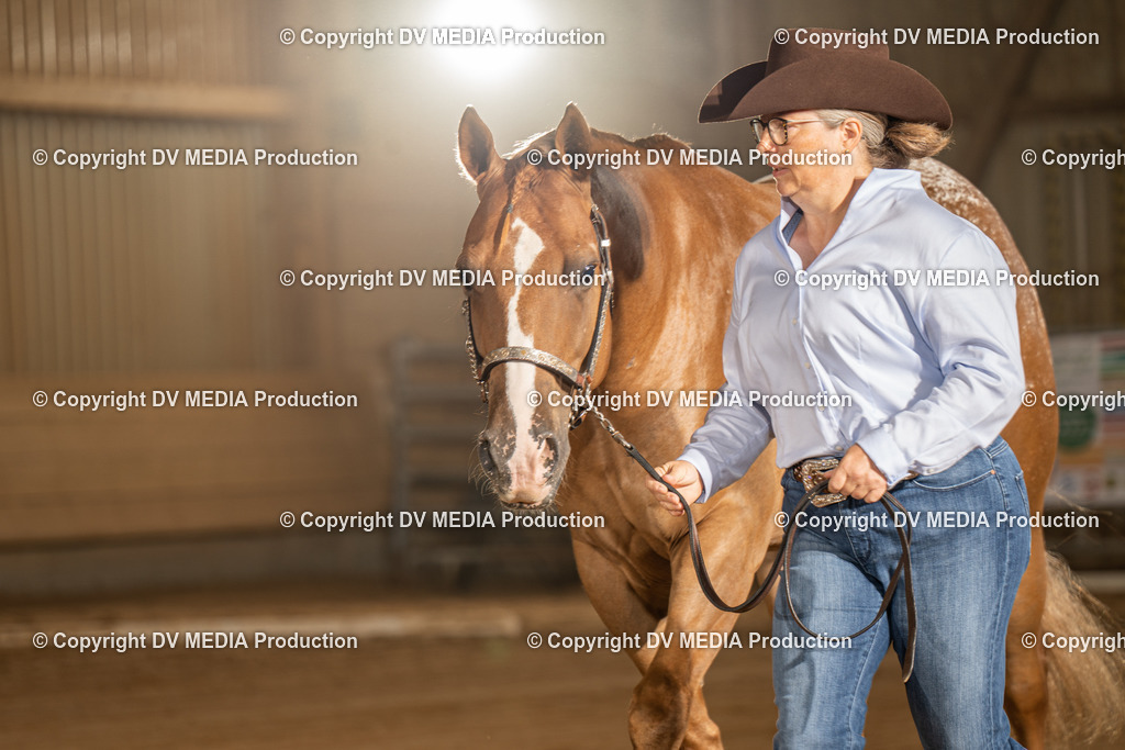 NID02354 | dv-media-shop - Realisiert mit Pictrs.com