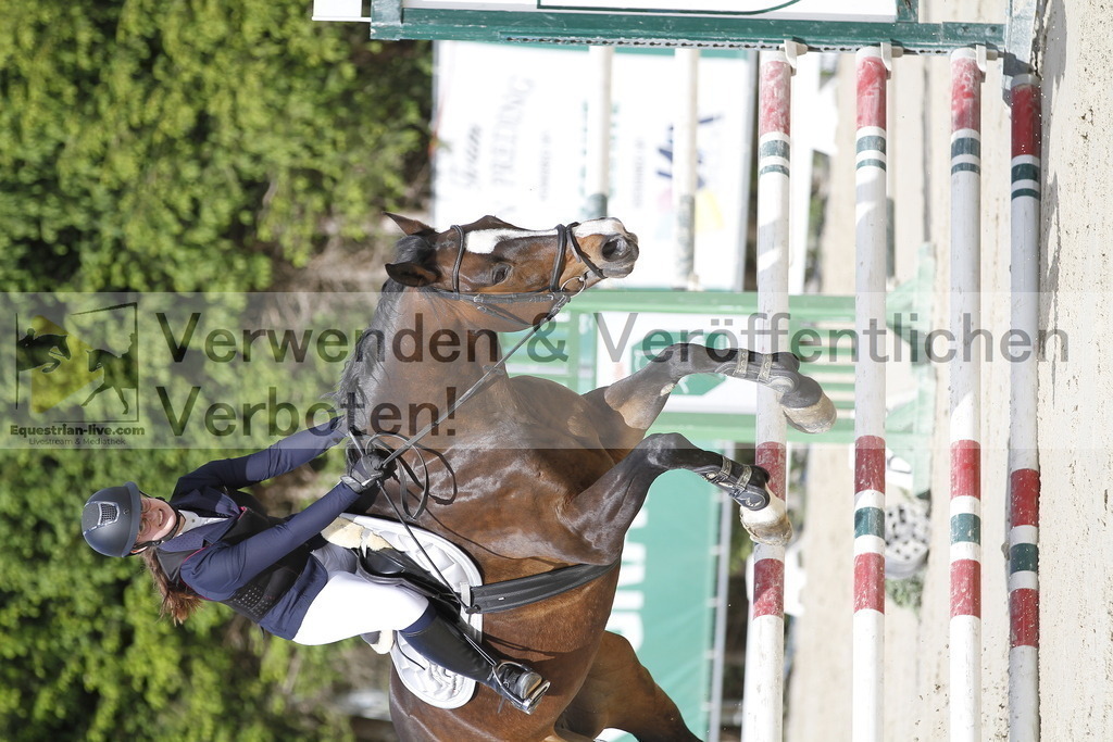 _MG_8316 | equestrian-live-com