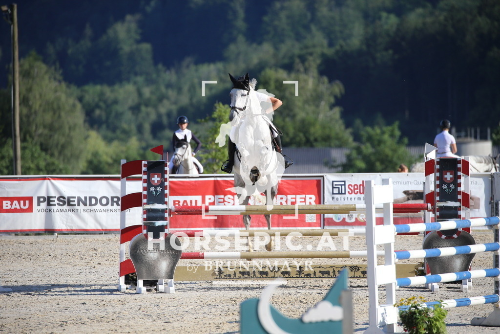DL2Q6565 | Willkommen bei Brunnmayr - Design & Fotografie – Ihrem Spezialisten für Reitturniere und Pferdeveranstaltungen in Oberösterreich, Salzburg und Bayern! Seit über 17 Jahren sind wir leidenschaftlich dabei.