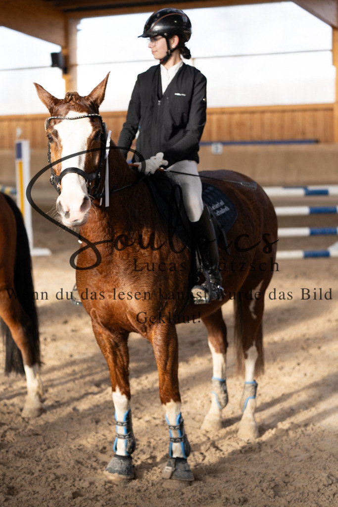 A7V00943 | Pferdefotograf