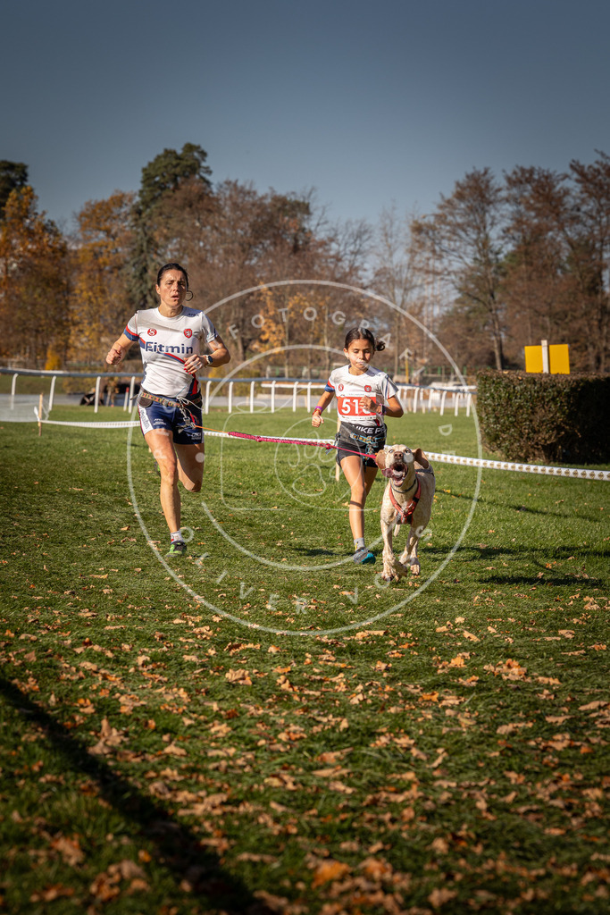 CaniXpix_0L8A6977 | Hundefotografie, Tierfotograf, Pfotenfotografie, Fotoshooting Hund, Hunde Portrait, Hundesport, Hundeportraits, Heideshooting, Hunde, Sportfotograf, Hundefotograf, Turnierhundsport, THS,  - Realisiert mit Pictrs.com