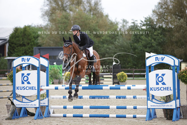 1J2A9435Lisa-Marie Bornhöft_ Coda C_ Kn252_ Havekost | Foto- und Videografie für alles rund ums Pferd. Hochwertige Bilder und Videos vom Spring- und Dressurreiten, Voltigieren & mehr. Jetzt aktuelle Veranstaltungen und Preise im Shop ansehen. - Realisiert mit Pictrs.com