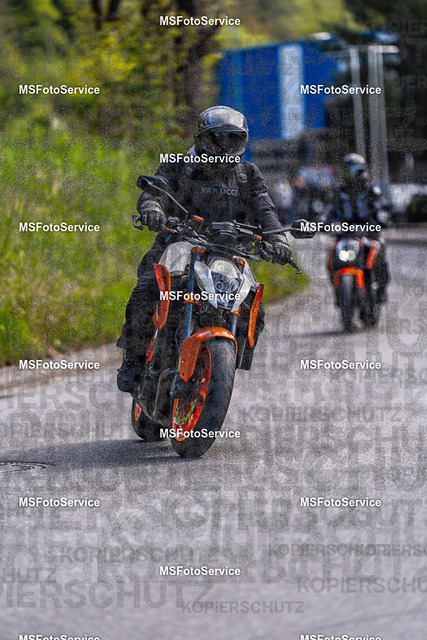 MSFotoService-709 | MSFotoService - Realisiert mit Pictrs.com