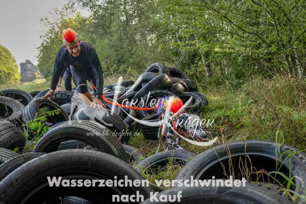 1012_ZZ93925-Bearbeitet-2 | kk-dogfotos