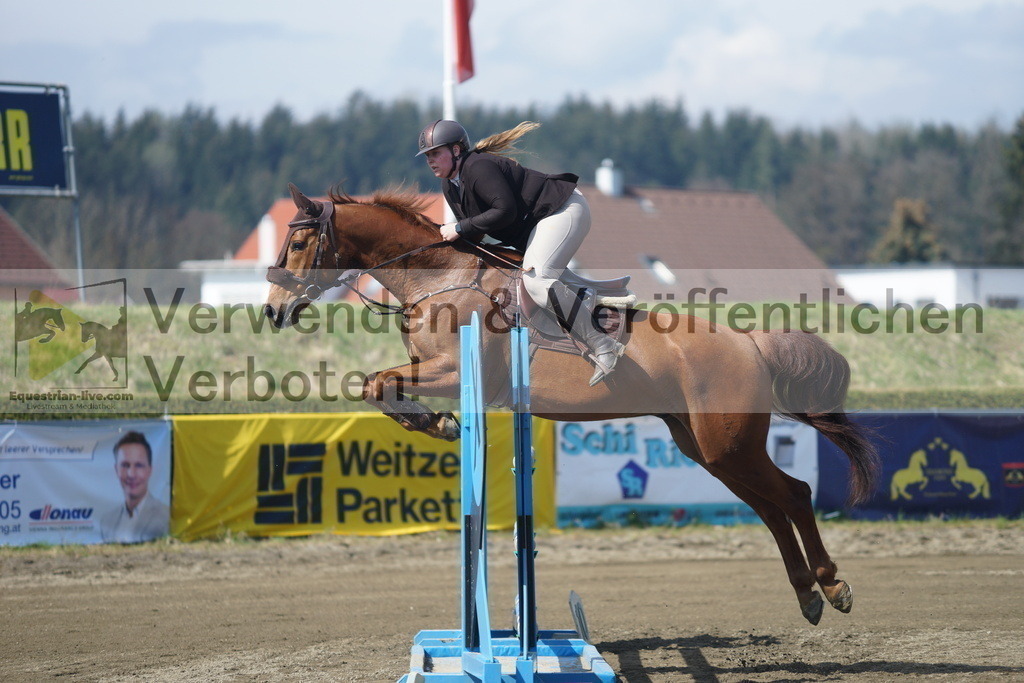 DSC02383 | equestrian-live-com