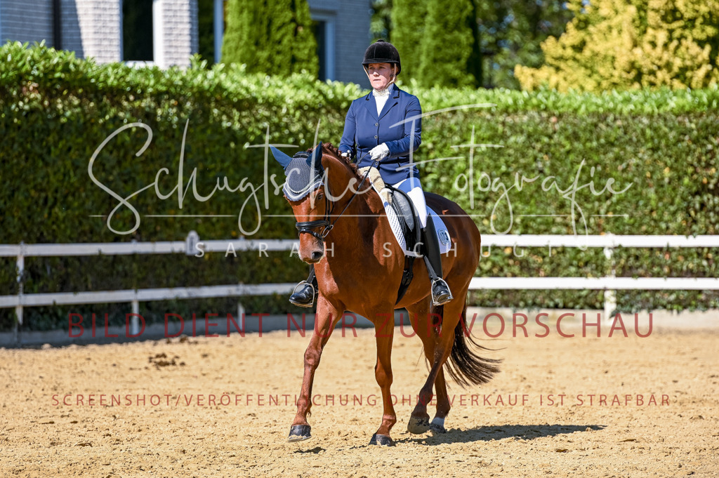 Schugtsche-Aluta25-50.Dressurpferdeprf.L-128 | Schugtsche Fotografie - Realisiert mit Pictrs.com