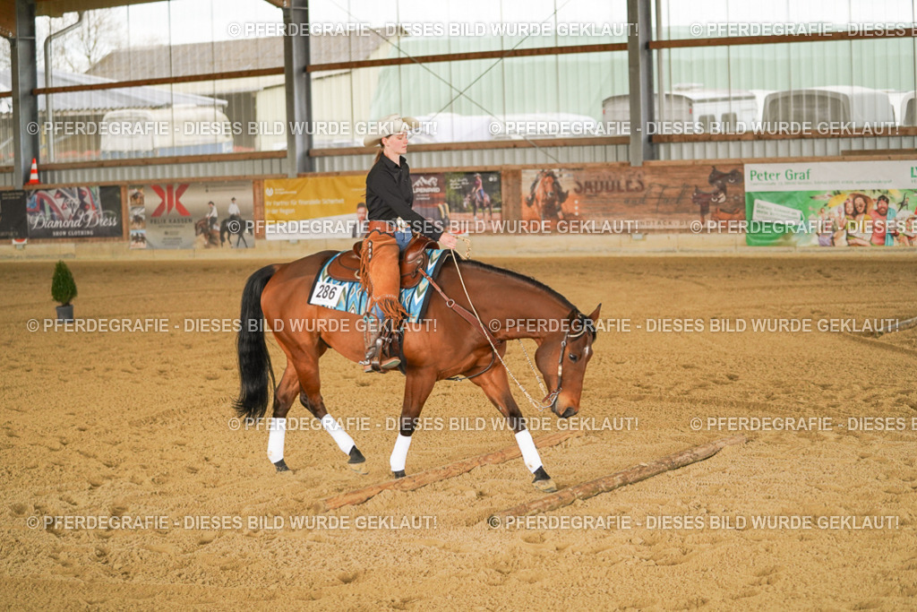 DSC04486 | Pferdegrafie