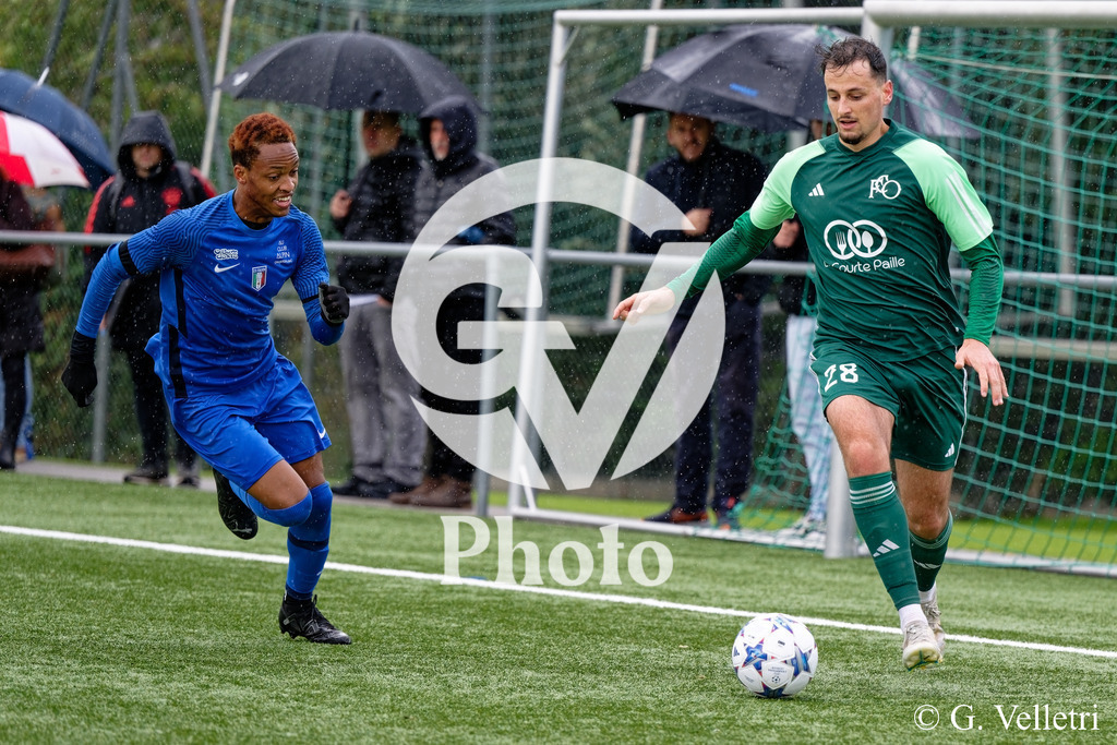 DSC_5954 | Velletri Photo