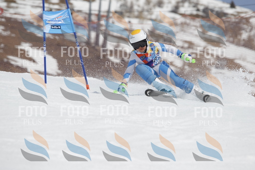 _U3G2898 | holidayphoto