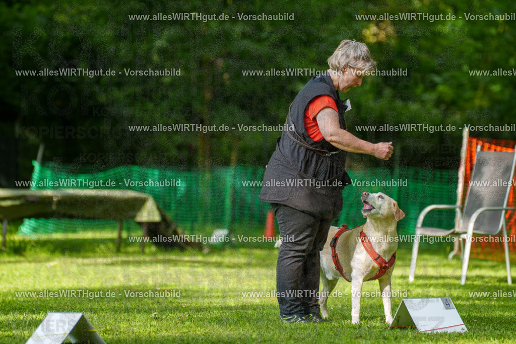 @allesWIRTHgut_Tierfotografie - www.allesWIRTHgut.de - 7R502202 | Professionelle Tierfotografie in Mönchengladbach von Daniel Wirth (allesWIRTHgut). Liebevolle & natürliche Bilder von Hunden & Katzen für unvergessliche Erinnerungen.