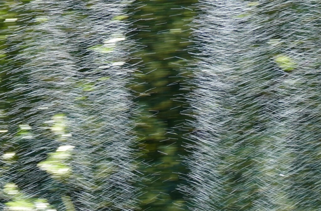 P3760201_a | Annaeherungen - Realisiert mit Pictrs.com