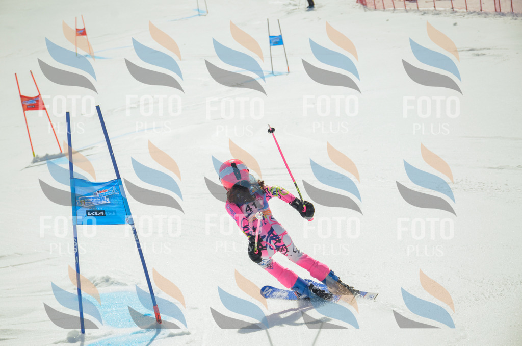 _ELE5053 | holidayphoto