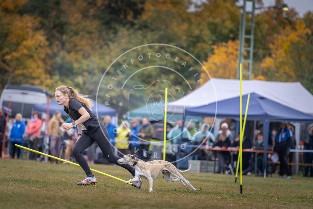 Pfotenfotografie_DV3A1009 | Hundefotografie, Tierfotograf, Pfotenfotografie, Fotoshooting Hund, Hunde Portrait, Hundesport, Hundeportraits, Heideshooting, Hunde, Sportfotograf, Hundefotograf, Turnierhundsport, THS,  - Realisiert mit Pictrs.com
