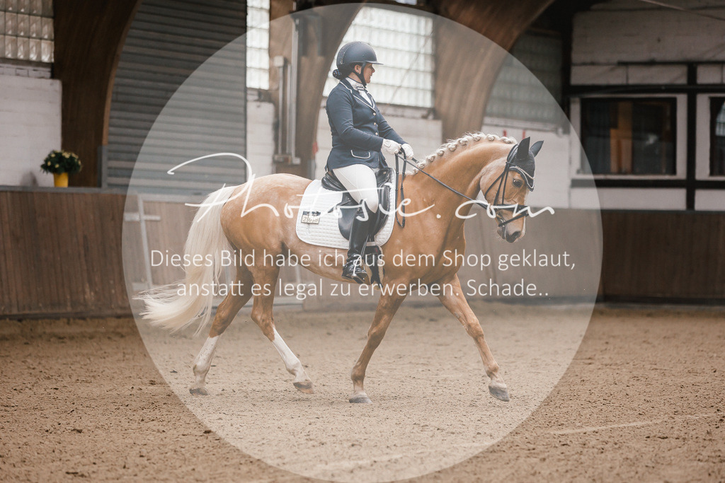 3I6A7124 | Stimmungsvolle Portraits und Reitsportfotografie im Ruhrgebiet und im Münsterland.

Pferdefotografie, Hundefotografie, Tierfotografie, Reportagen, Portraits von Tier und Mensch, Turnierfotografie in Bochum, Recklinghausen, Marl, Haltern am See, Dülmen.. - Realisiert mit Pictrs.com
