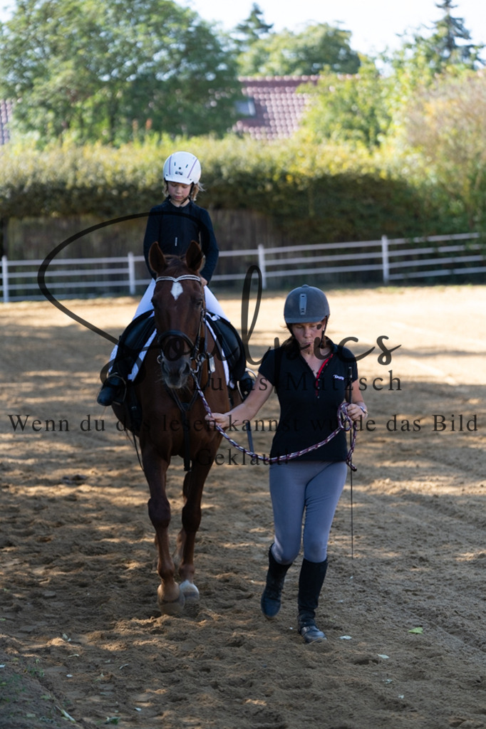 A7V02372 | Pferdefotograf