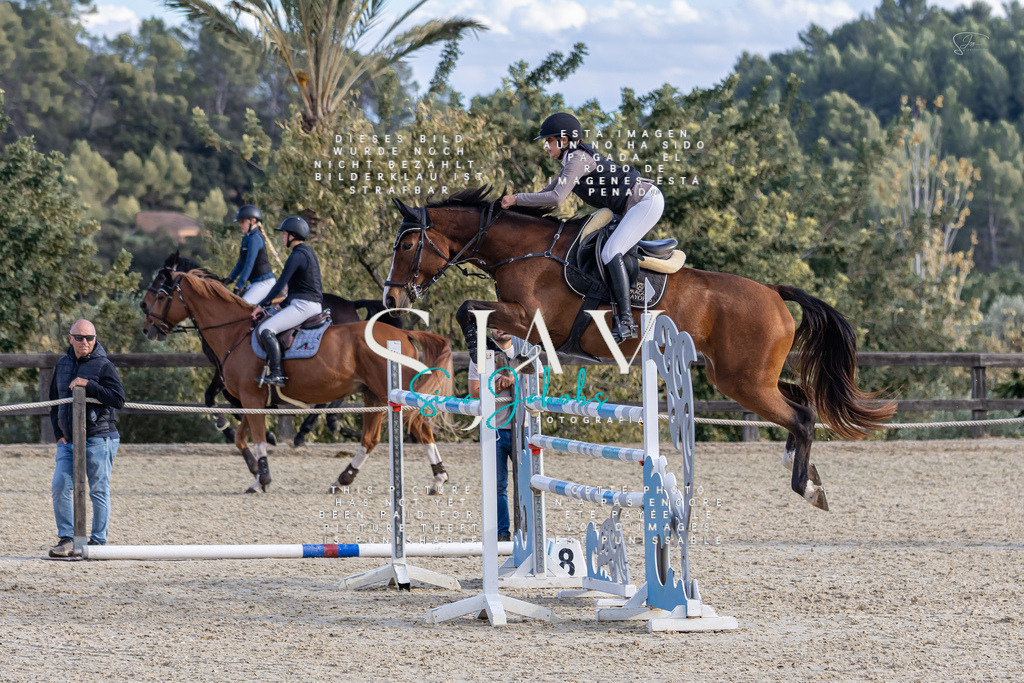 IMG_0445 | s-jay-photography - Realisiert mit Pictrs.com