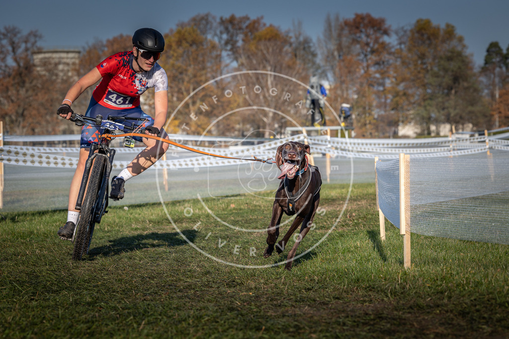 CaniXpix_0L8A4502 | Hundefotografie, Tierfotograf, Pfotenfotografie, Fotoshooting Hund, Hunde Portrait, Hundesport, Hundeportraits, Heideshooting, Hunde, Sportfotograf, Hundefotograf, Turnierhundsport, THS,  - Realisiert mit Pictrs.com