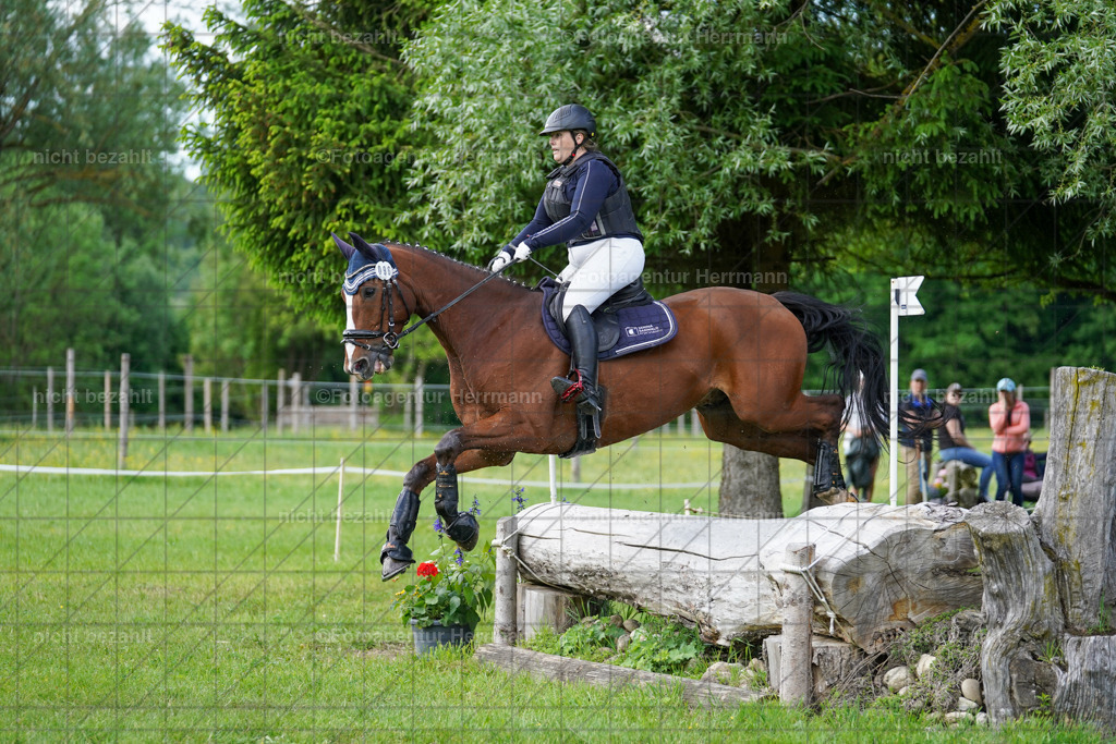 20240518-FAH04174 | Turnierbilder von Niederseon, Turnierfotografen Bayern, Fotoagentur Herrmann, Geländebilder, Reitsportfotografie