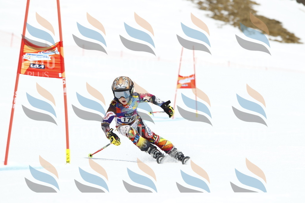 _U3G4545 | holidayphoto