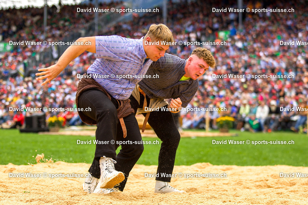 253008 Zbinden Silvan __  - Kundert Elias __ _ L_Eidg. Schwing- und Älplerfest (ESAF) Glarnerland+_ Mollis_ le 30.08.2025 _ sports-suisse.ch _ (2) | 253008 Zbinden Silvan **  - Kundert Elias ** à L'Eidg. Schwing- und Älplerfest (ESAF) Glarnerland+, Mollis, le 30.08.2025 " sports-suisse.ch "