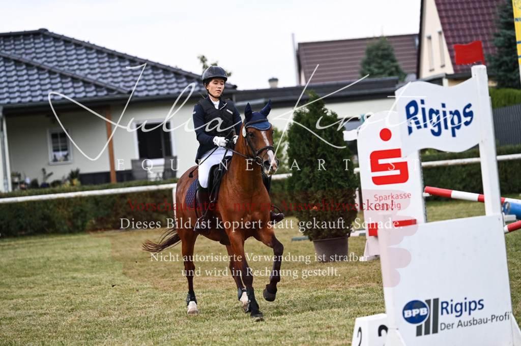 DSC_5489 | Pferde- und Turnierfotografie in Westsachsen. Pferdeportraits, Auftragszeichnungen und intuitive Kunst.