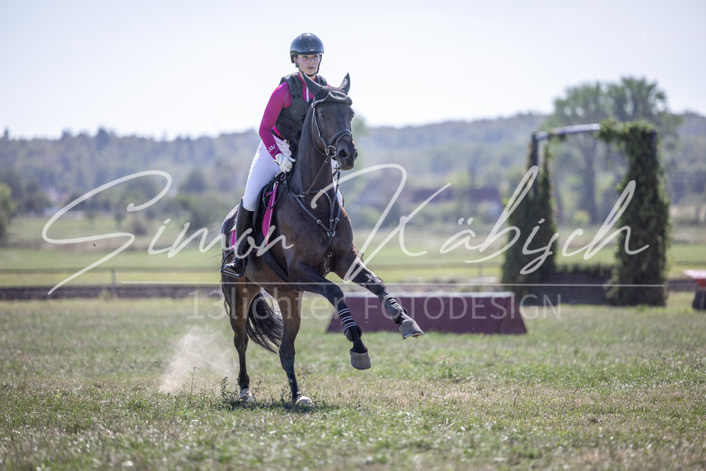 20260906-_3LI4041 | Tierfotografie Pferde, Hunde, Katzen, Haustiere.
Turnierfotografie Reitturniere, Reiten, Springreiten, Dressur in Hanau, dem Main-Kinzig-Kreis und dem Rhein-Main- Gebiet um Frankfurt