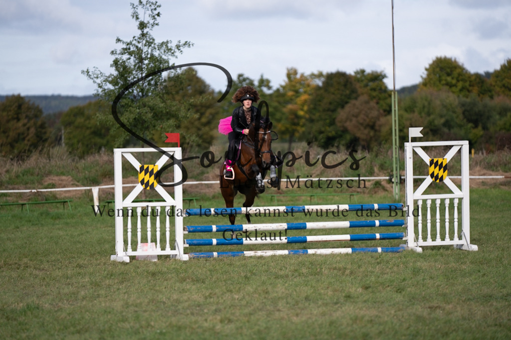 A7V06533 | Pferdefotograf