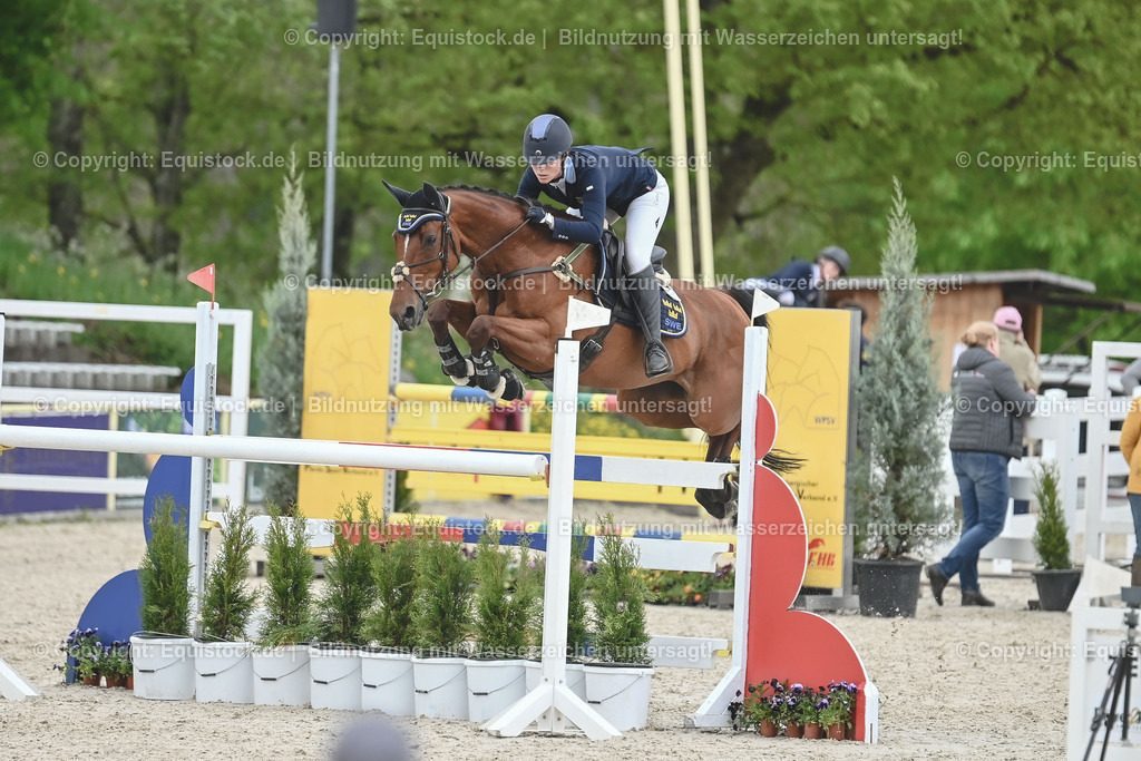 20230514_CCI4_Springen_0237 | equistock