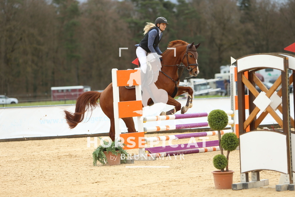 DL2Q1870 | Willkommen bei Brunnmayr - Design & Fotografie – Ihrem Spezialisten für Reitturniere und Pferdeveranstaltungen in Oberösterreich, Salzburg und Bayern! Seit über 17 Jahren sind wir leidenschaftlich dabei.