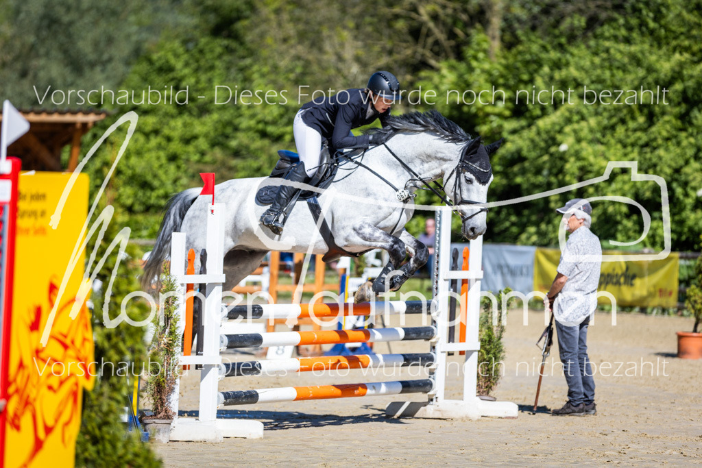 Donop24-A2Spr-056 | MomenTaufnahmen Pferdesportfotos